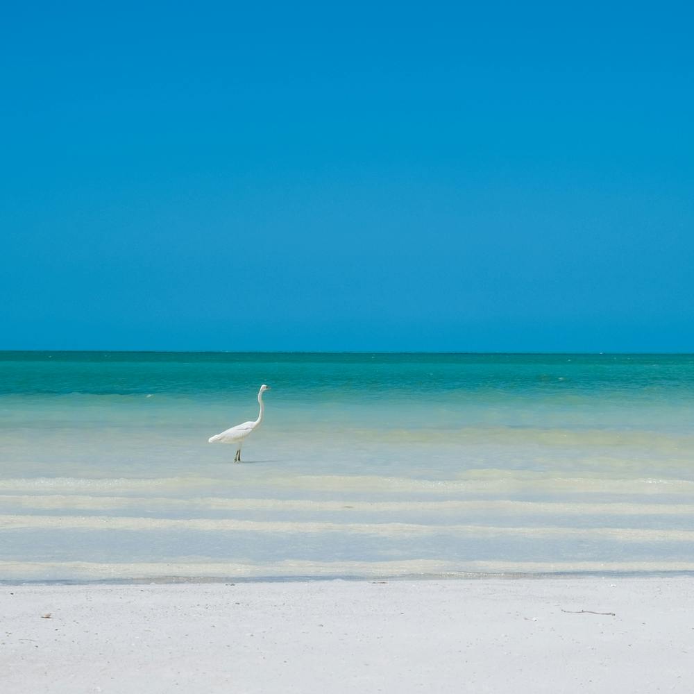 Calm ocean, Mexico