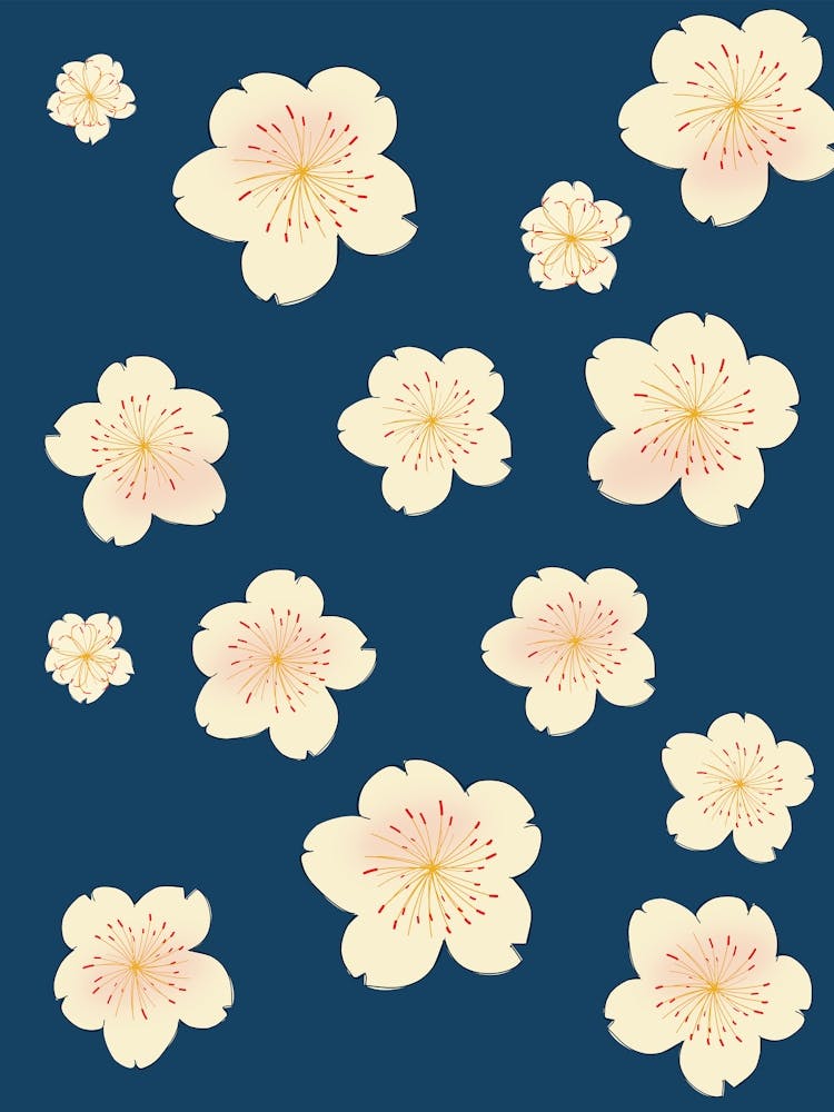 Sakura Blossoms