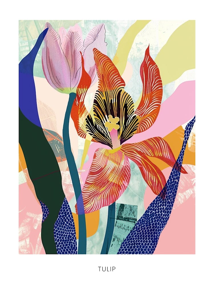 Colourful Flower Illustration Poster Tulip 3