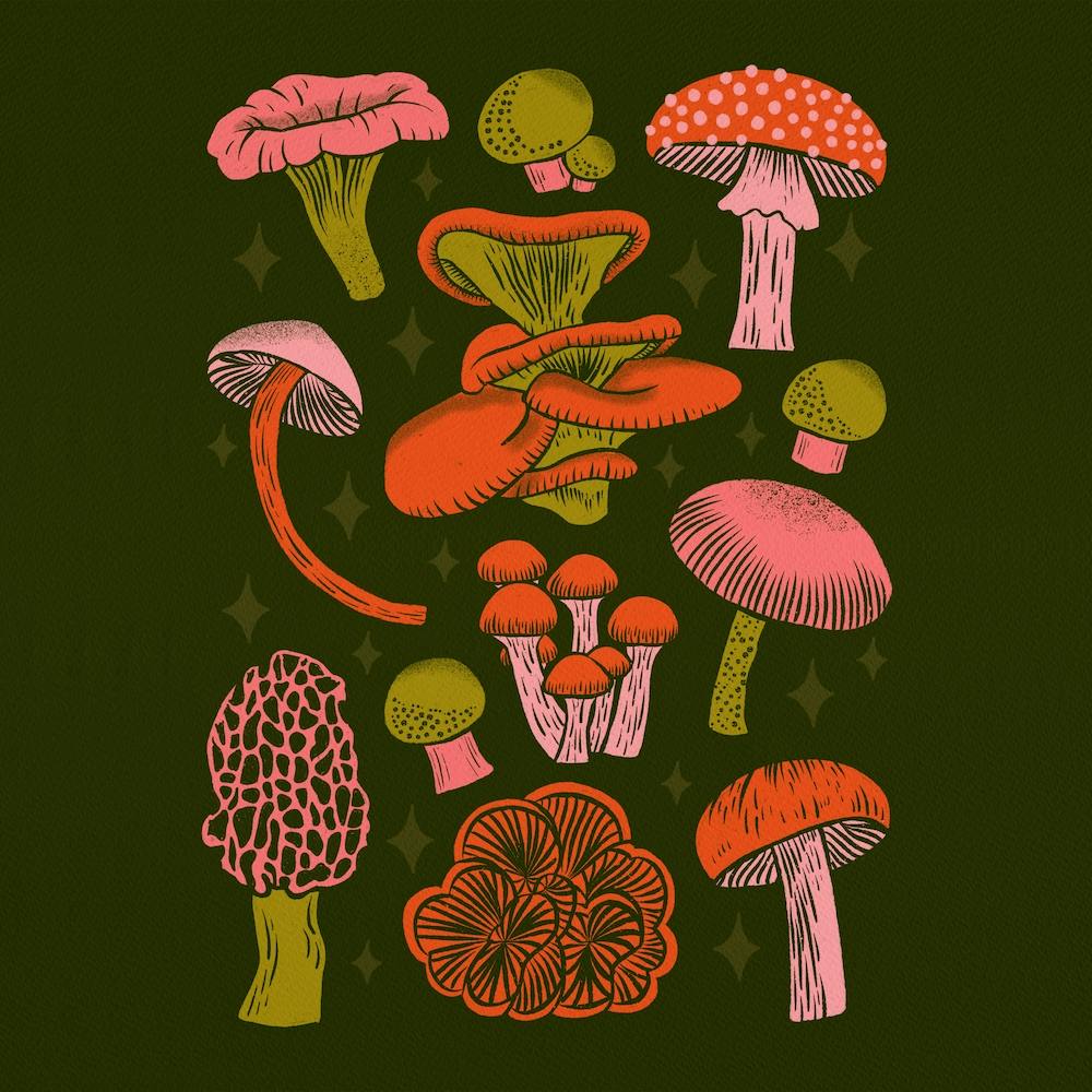 Texas Mushrooms   Bright Multicolor On Green Square