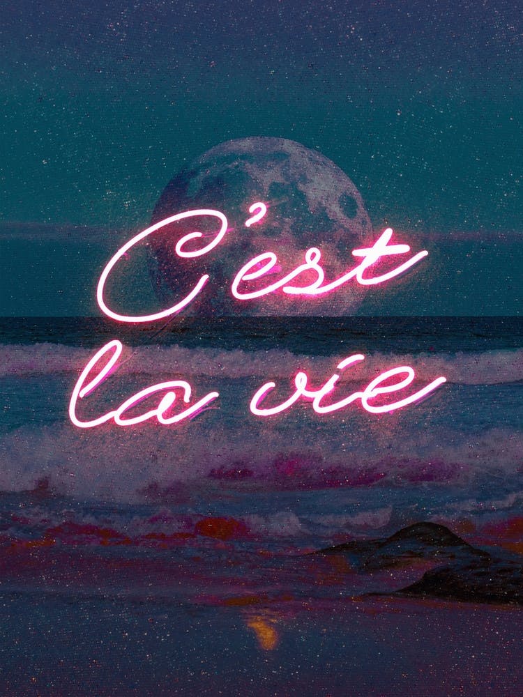 Moon C'est La Vie Collage
