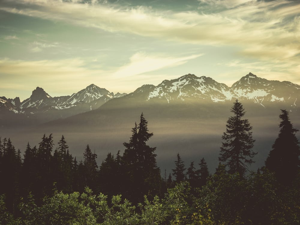 Cascade Mountain Wildflower Sunrise