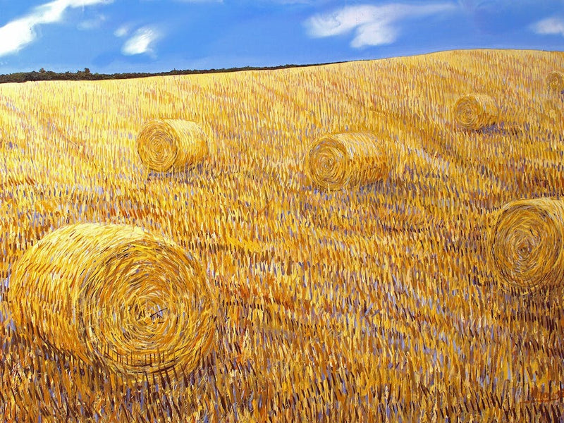 Hayfield