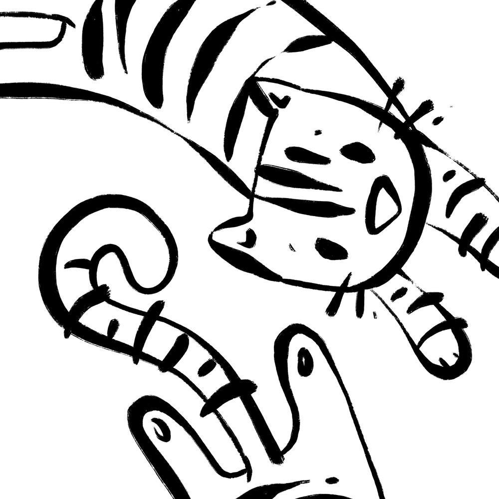 Tiger And Cat