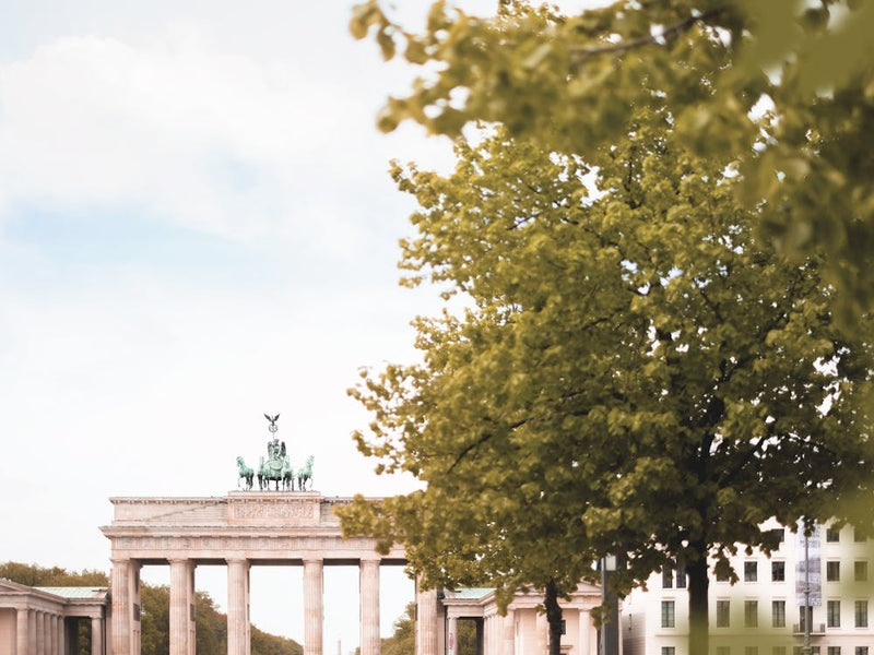 Berlin, Germany I Poetic view of the Brandenburg Gate framed by spring tree with iconic architecture bathed in soft pastel tones aesthetic blending city urban heritage and delicate nature photography