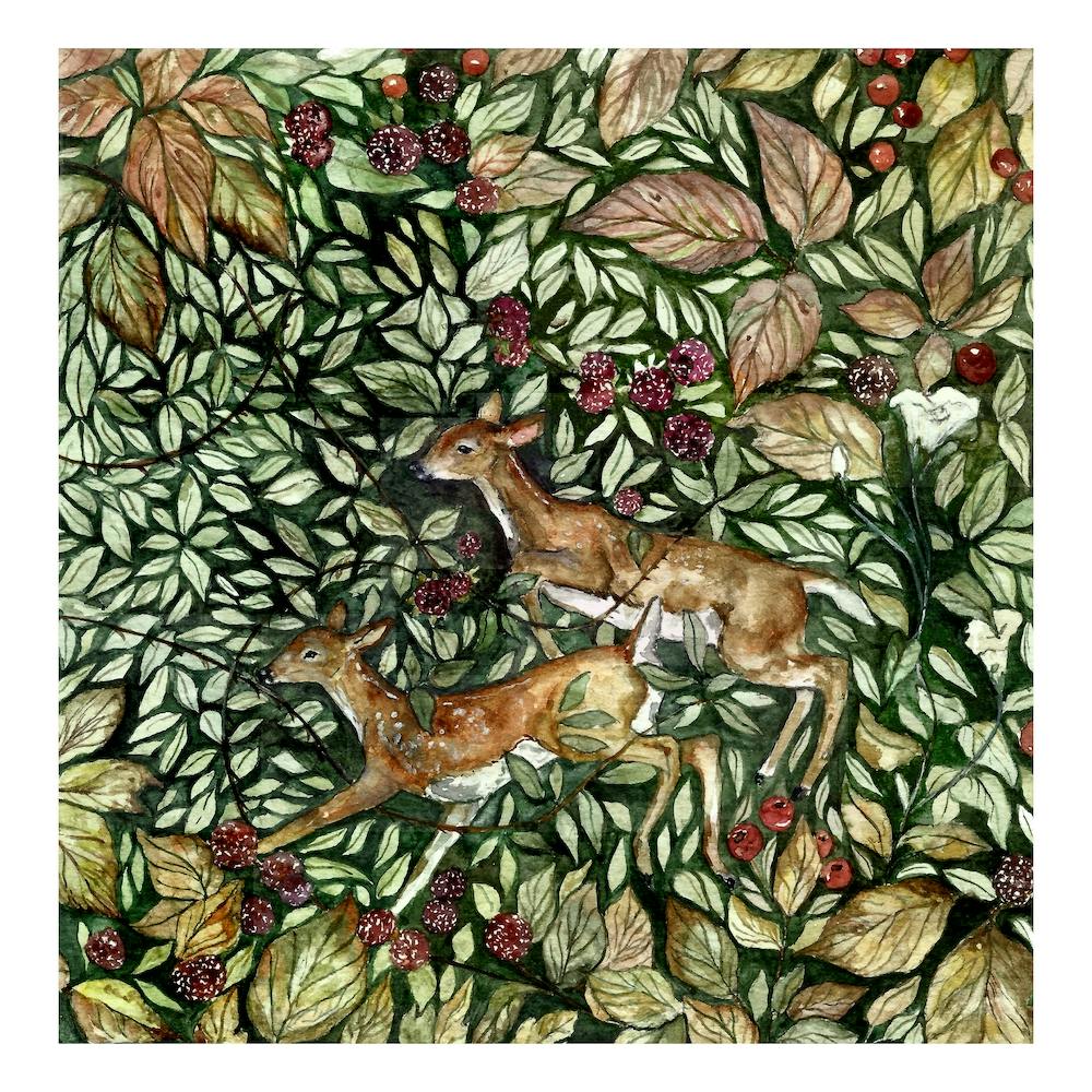 Hedgerow Deer