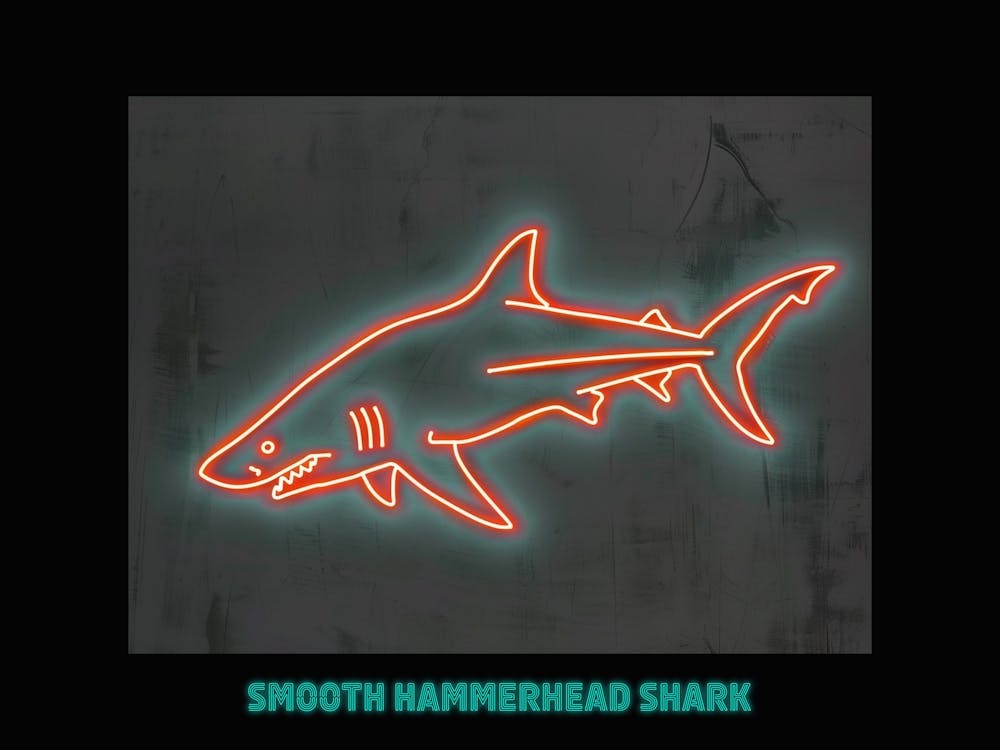 Orange Smooth Hammerhead Neon Shark 8 Poster