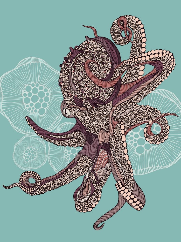 Octopus Bloom