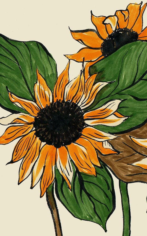 Sunflowers