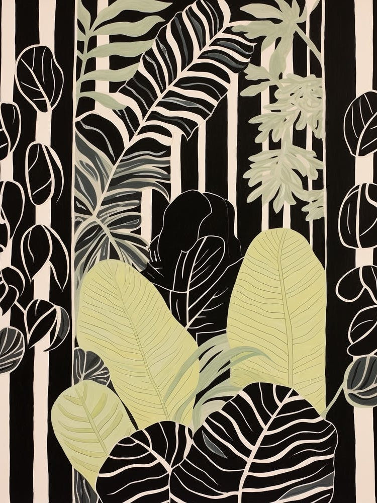 B&W Plant Illustration Calathea