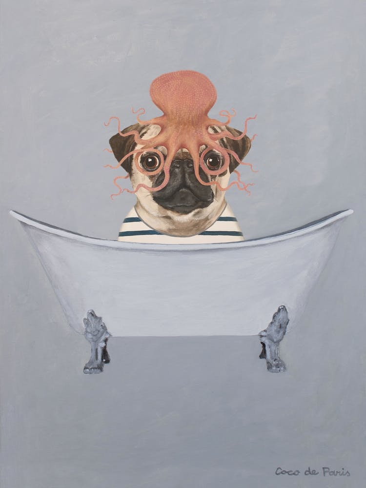 Pug With Octopus S In Bathtub