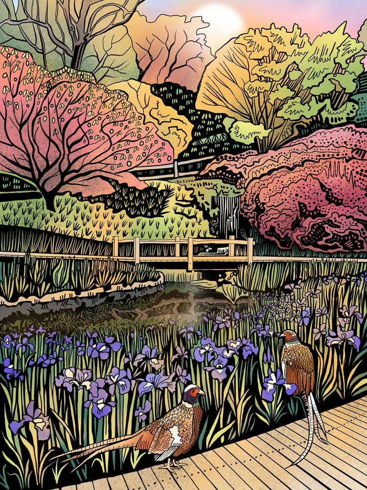 Japanese Water Garden