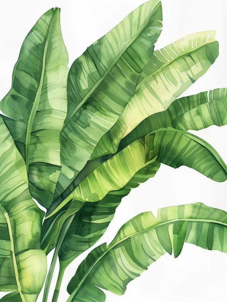 Watercolor Banana Leaves