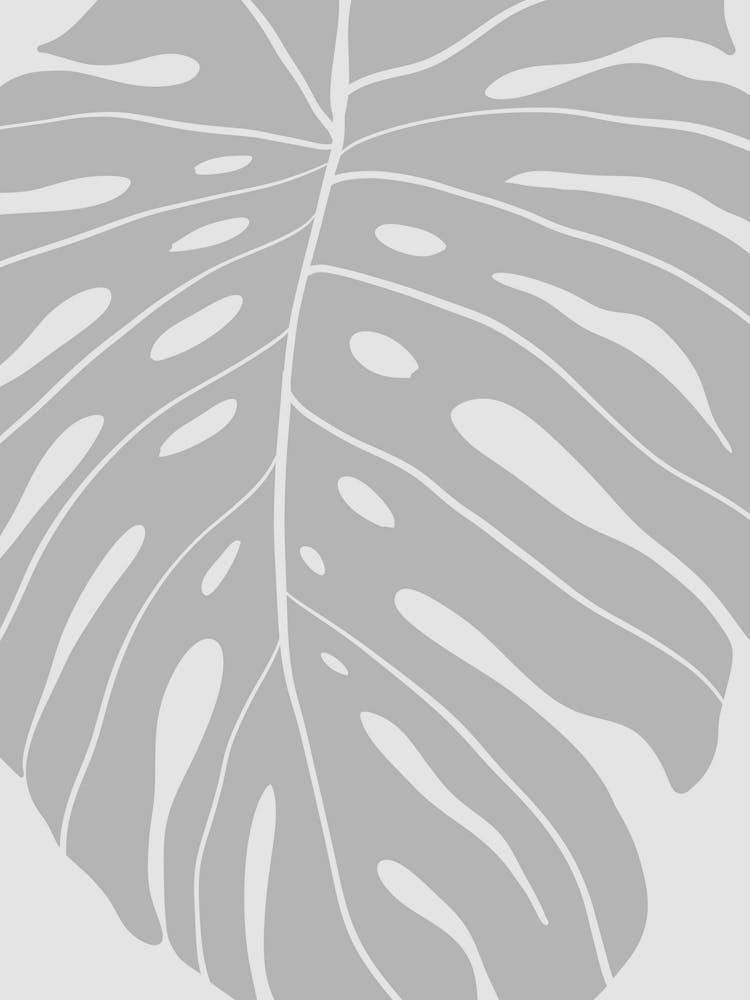 Monstera Leaf 6