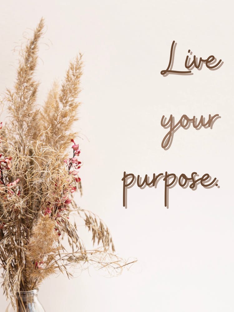 Live Your Purpose