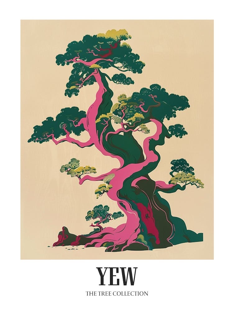 Yew Tree Colourful Illustration 1 Poster