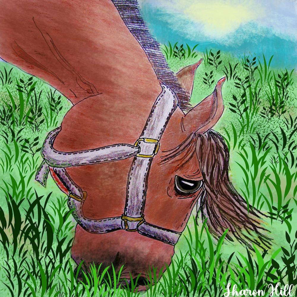 Horse In The Grass