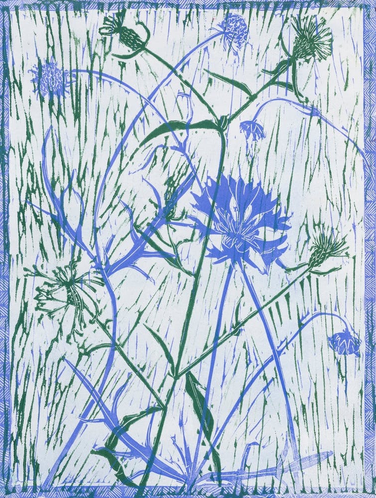 The Cornfield Weeds