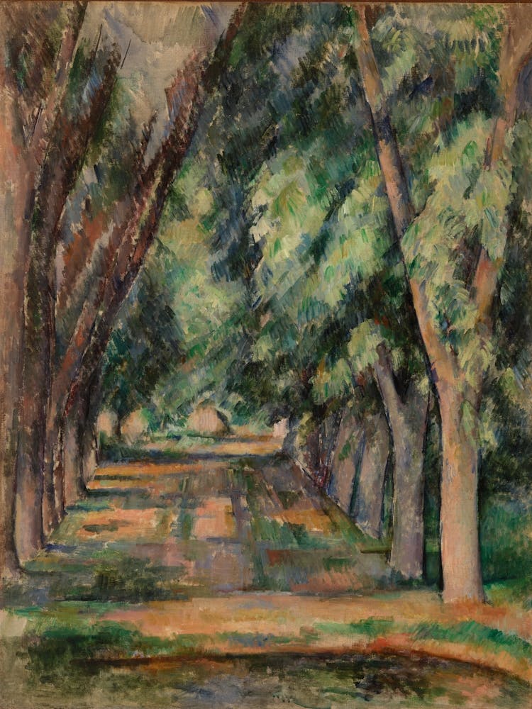 Path Through The Trees