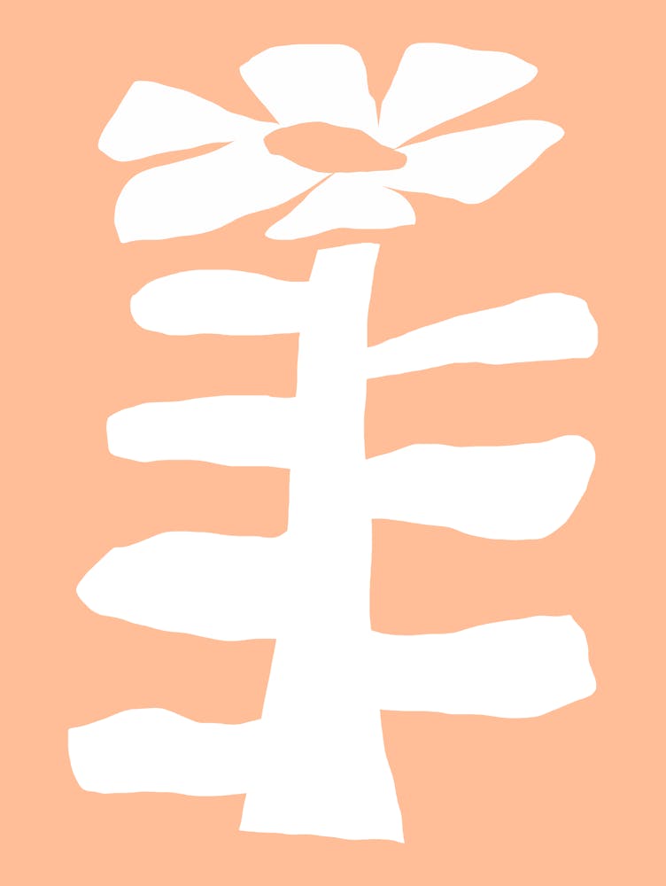 Peach Fuzz Quirly Flower