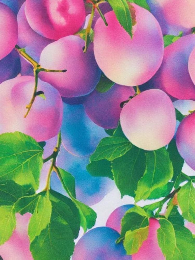 Prune 1 Risographie Affiche Rétro Fruit