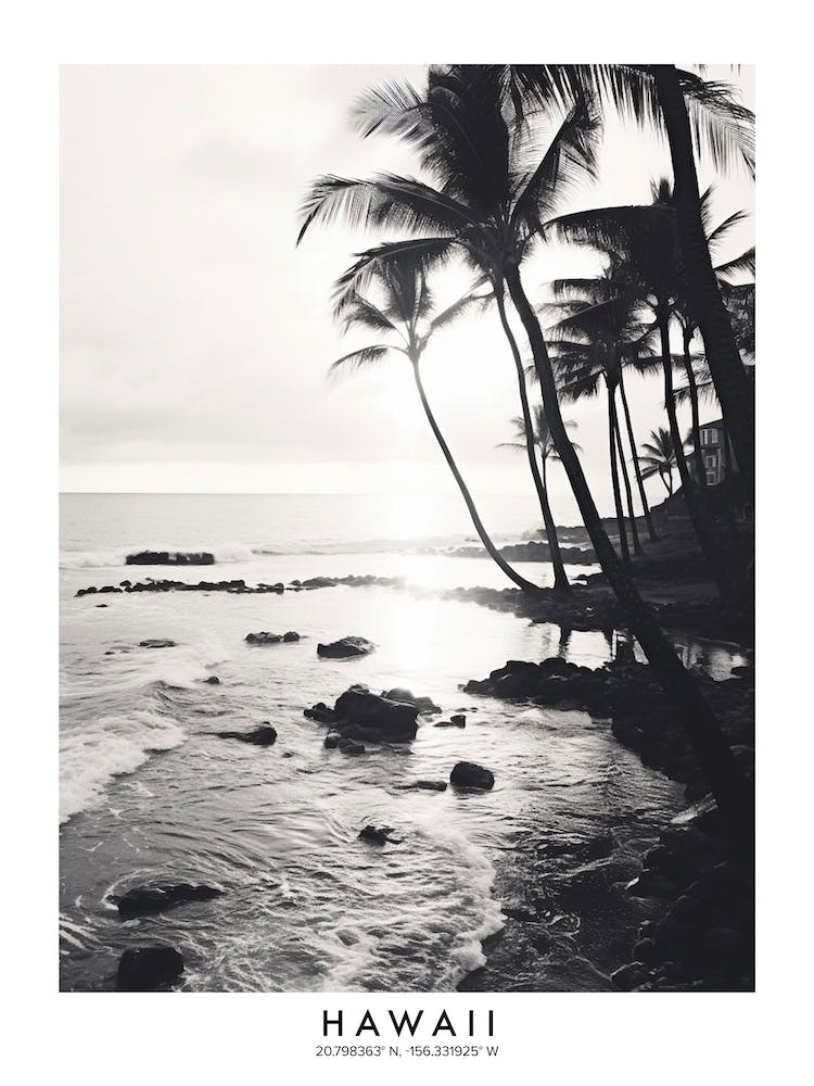 Poster Of Hawaii, Black And White Analogue Photograph 3