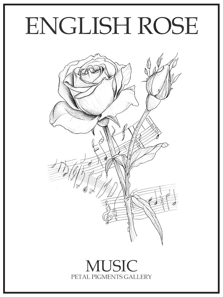 English Rose Music Line Drawing 3 Poster