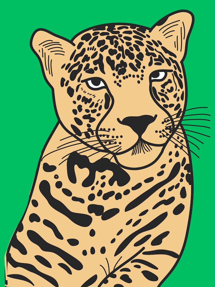 Leopard 4