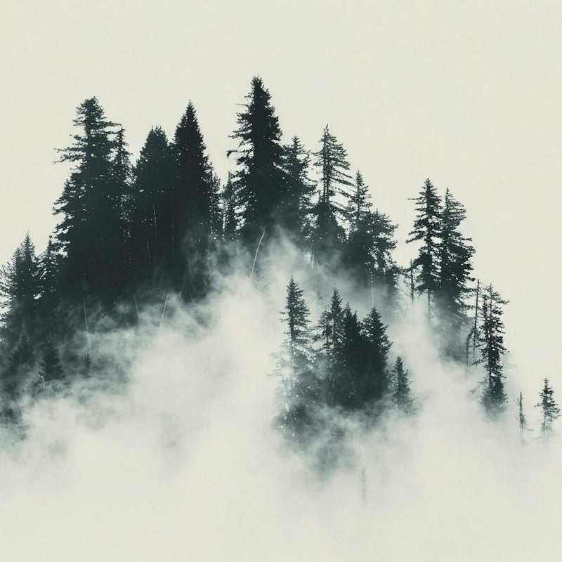 Editorial Art White Background Smoky Mountains 2