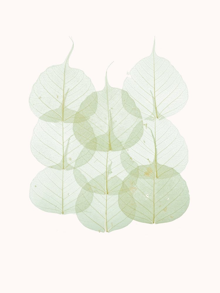 Leaves II