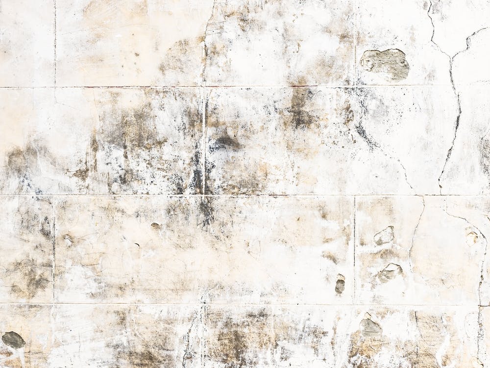 Moldy Wall Old texure