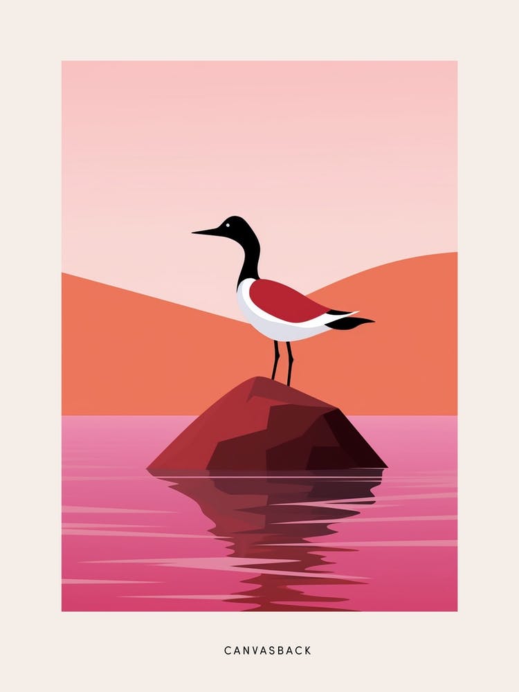 Minimalist Canvasback 2 Bird Poster