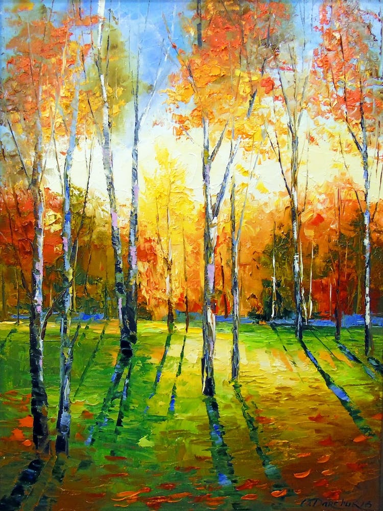 Birches at dawn