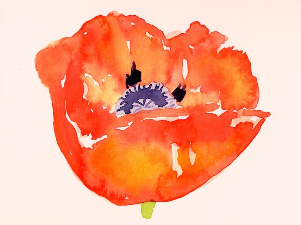 Red Poppy Painting