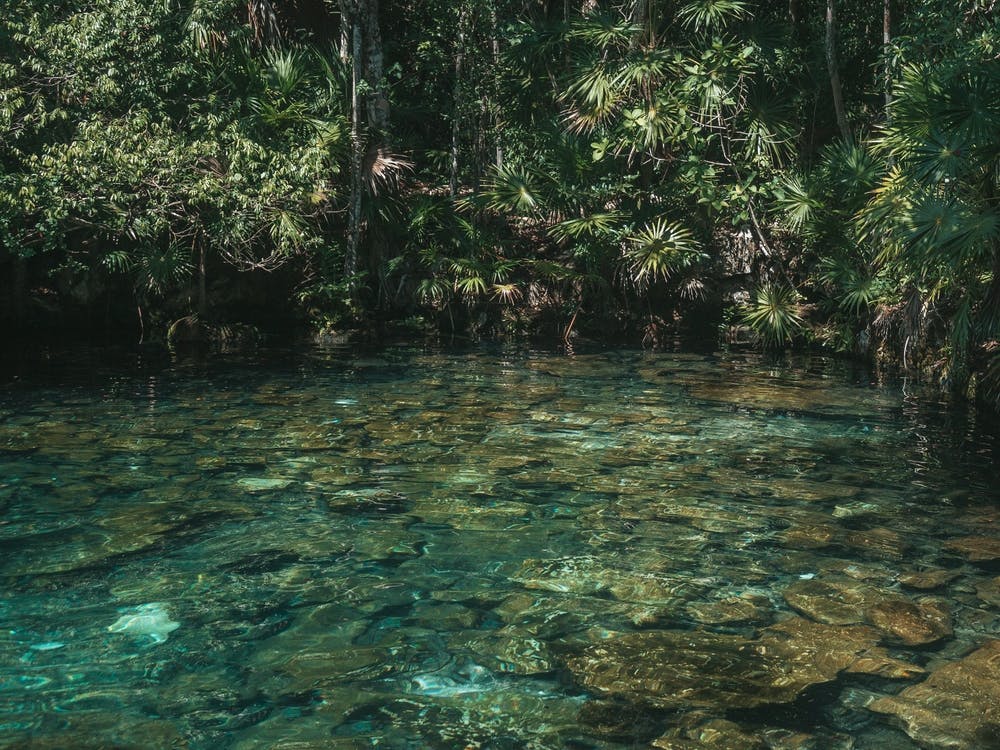 Cenote Jungla