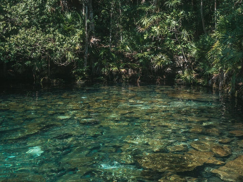 Cenote Jungla