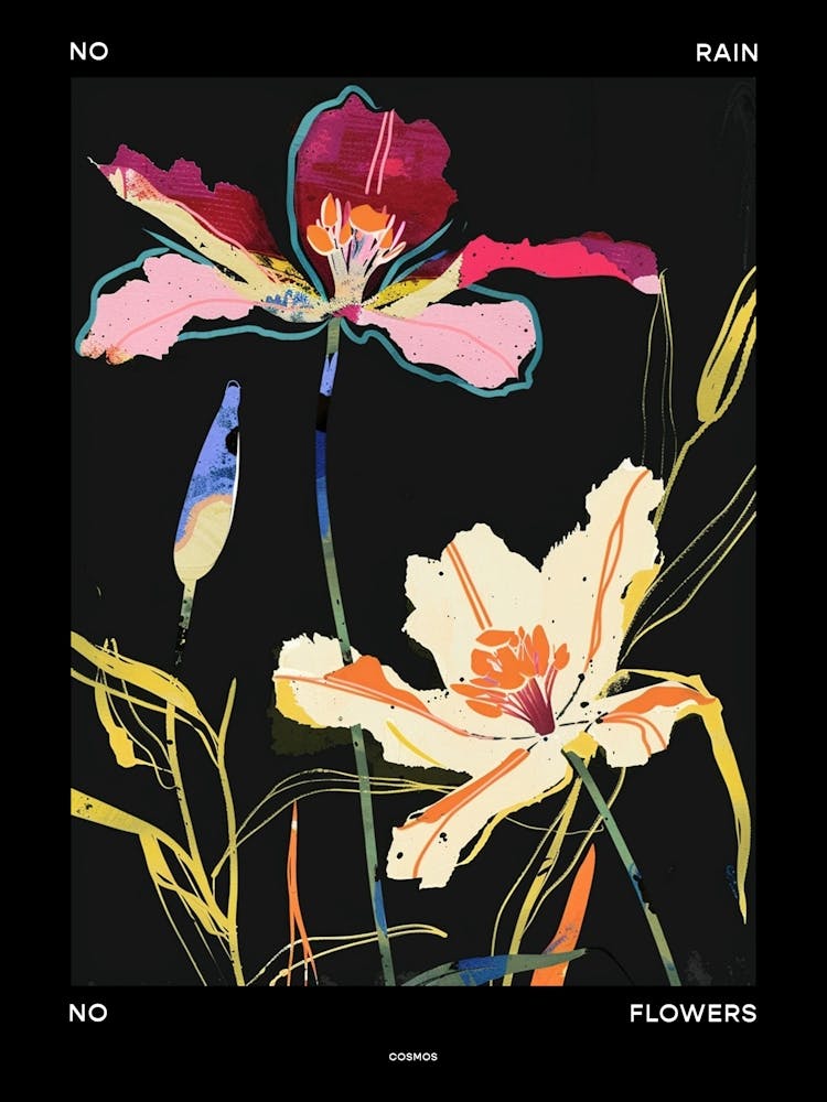 No Rain No Flowers Poster Cosmos 4