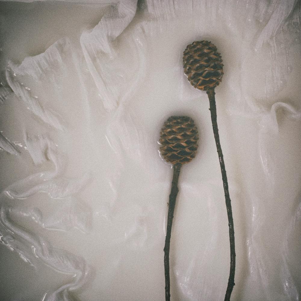 Earthy Botanicals Square