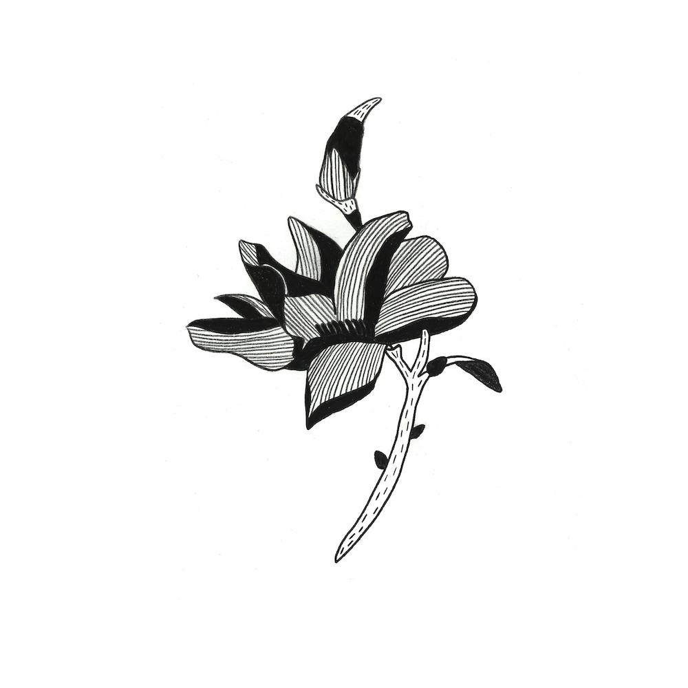 Tropische Blume
