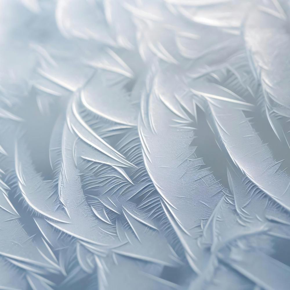 Frosty Feathers