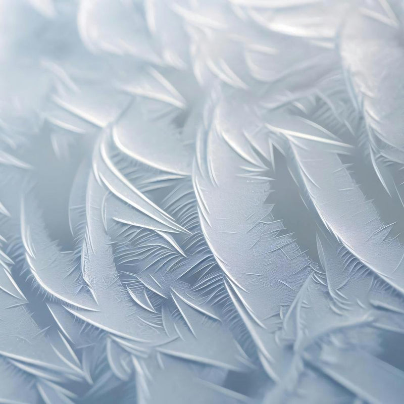 Frosty Feathers