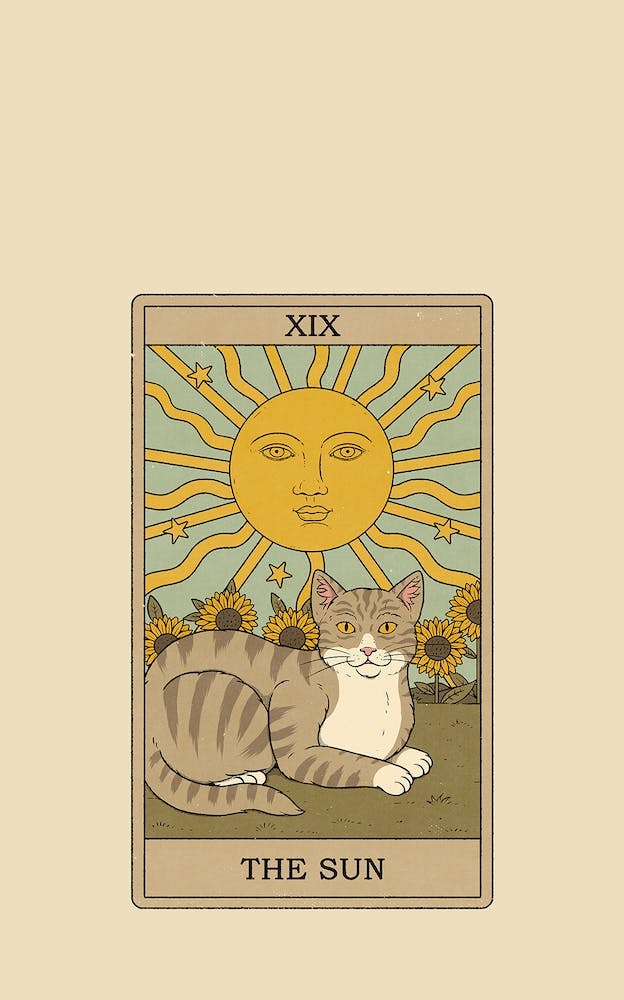The Sun    Cats Tarot