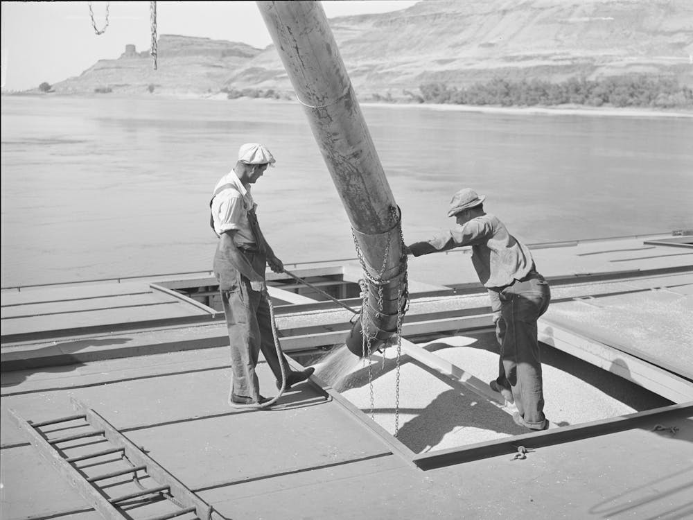 Loading Bulk Wheat Into Hole Of Barge For Shipment From Port Kelly To Portland, Walla Walla County, Washington By