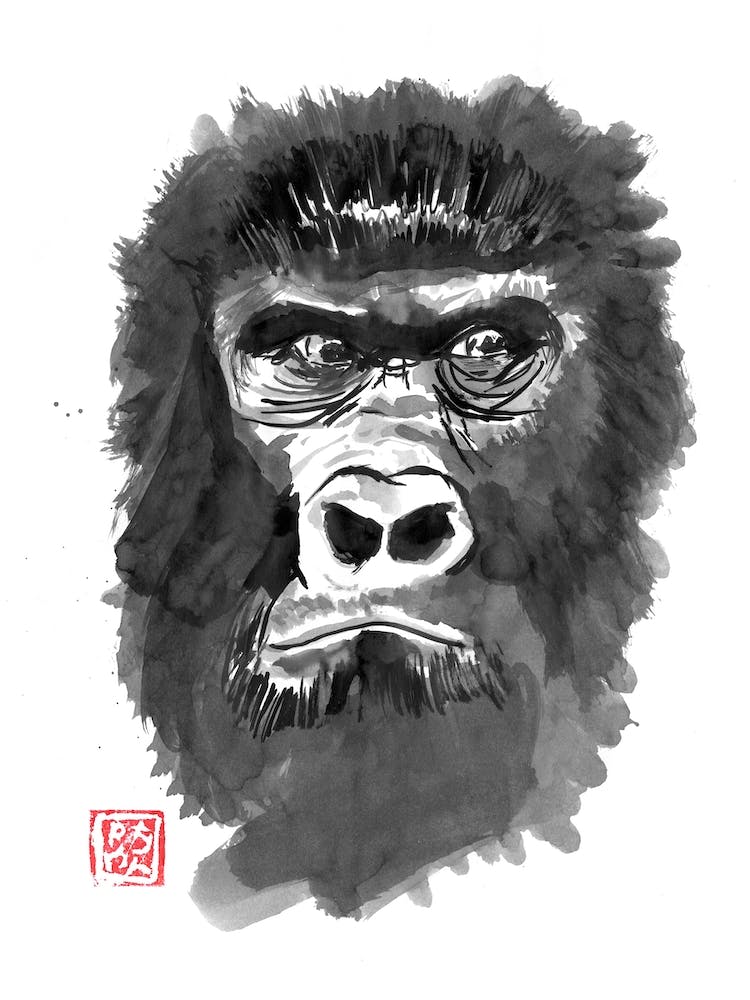 Grumpy Gorilla