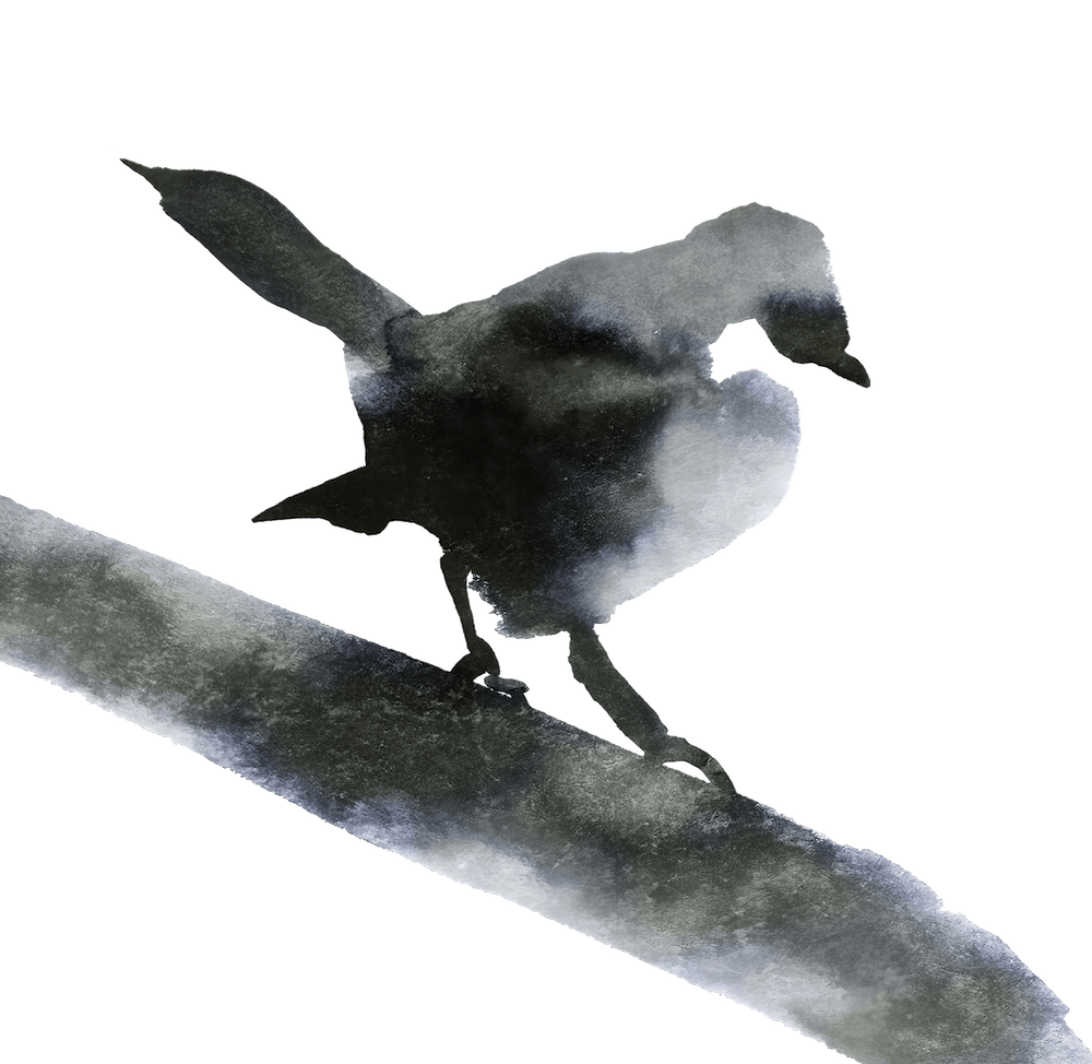 Titmouse - Minimalistic Bird Painting Painting