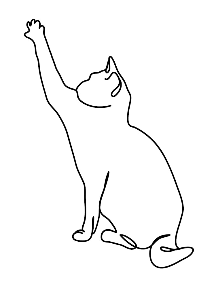 Cat Reaching For A Toy Line Art Hand Drawing Illustration
