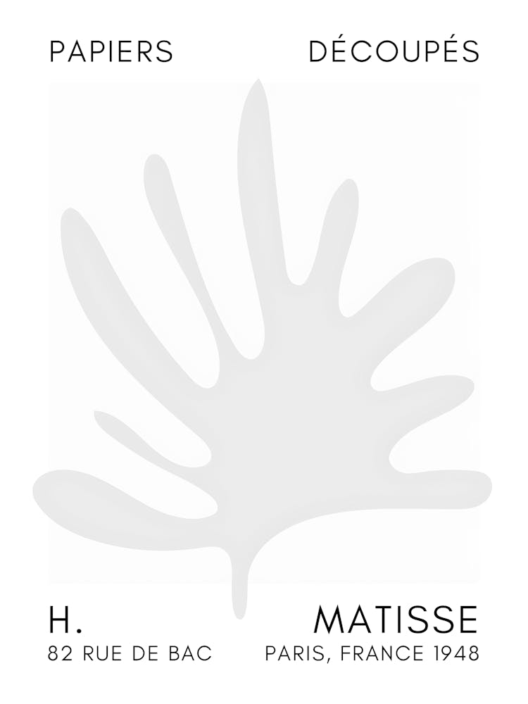 Matisse 35