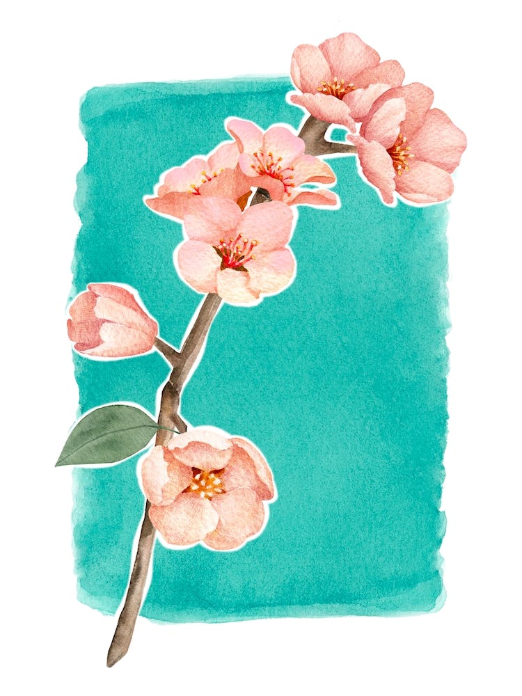 Frühlingsblumen