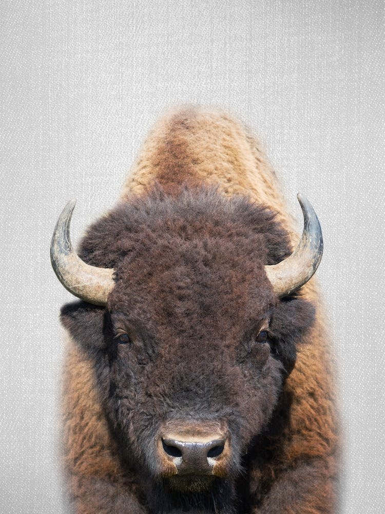 Buffalo