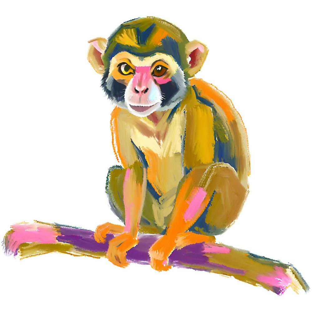 Squirrel Monkey 04